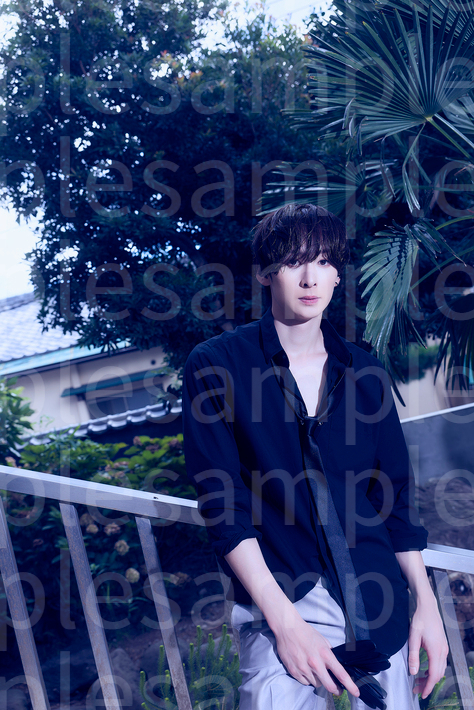 田中涼星ランダムブロマイド　全20種